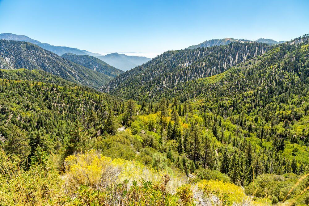 2. San Bernardino National Forest